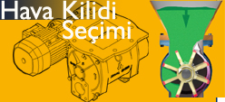 Ekls seimi